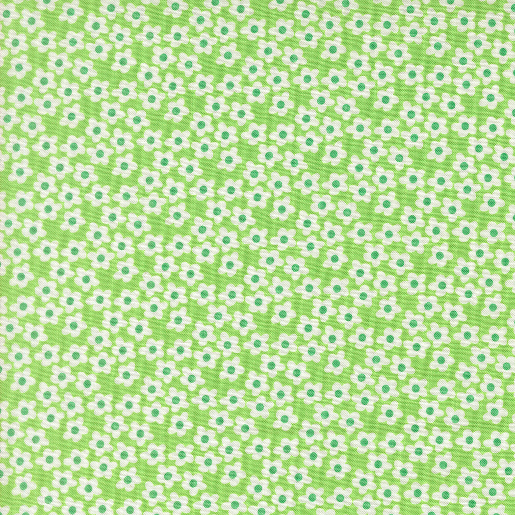 Popcorn Mint fabric
