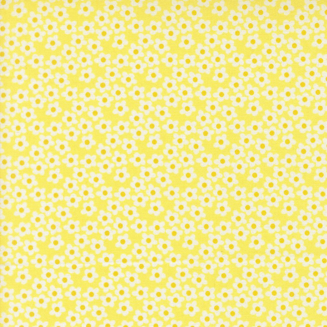 Popcorn Sunshine fabric