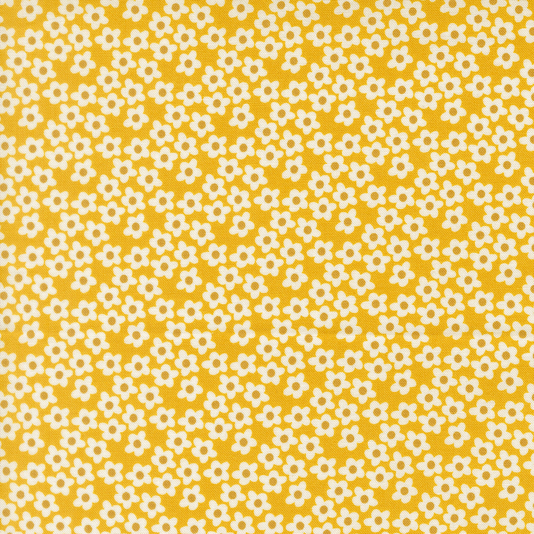 Popcorn Orange fabric