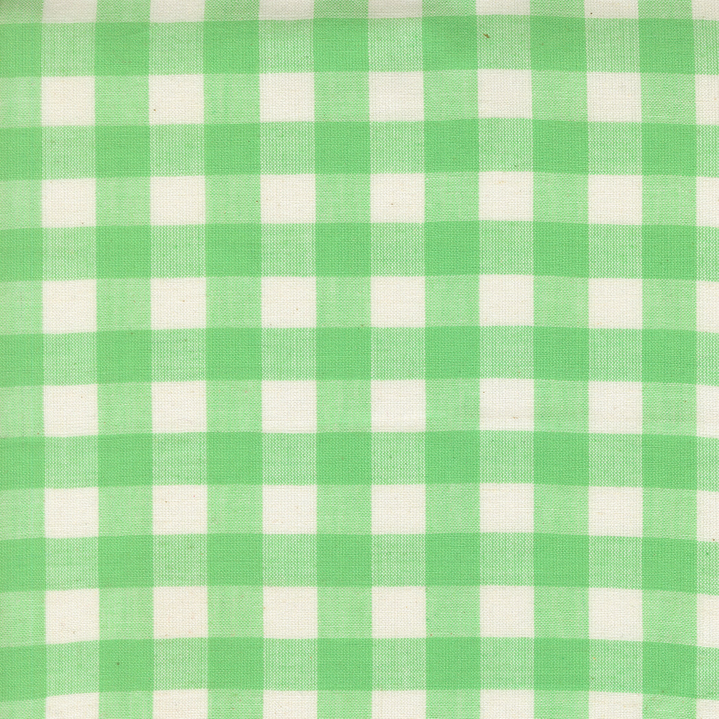 Popcorn Wovens Mint fabric