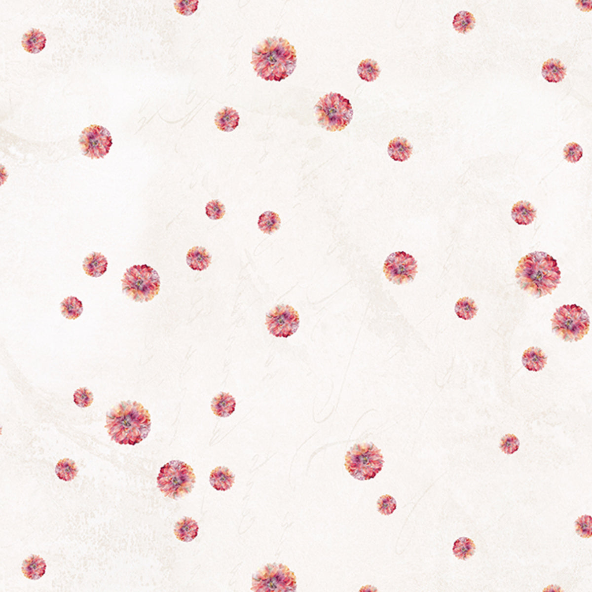 Rosé All Day Rosé All Day Teeny Blooms - Cream by Funny Girl