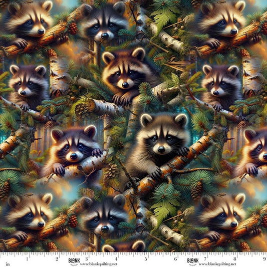 Babies in the Wild Raccoon Allover Brown fabric