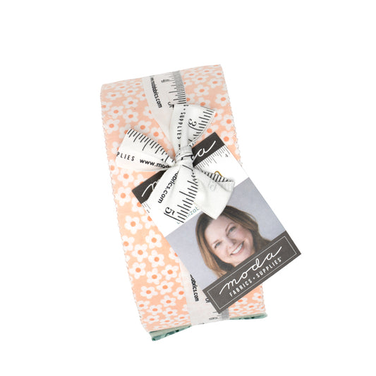 PREORDER Popcorn Jelly Roll