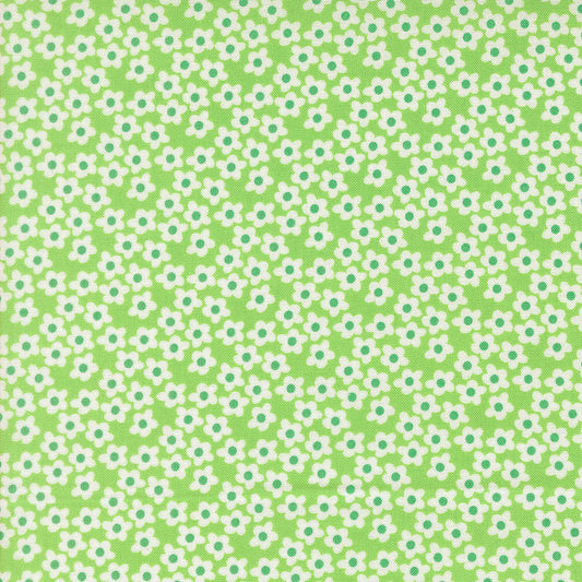 Popcorn Mint fabric
