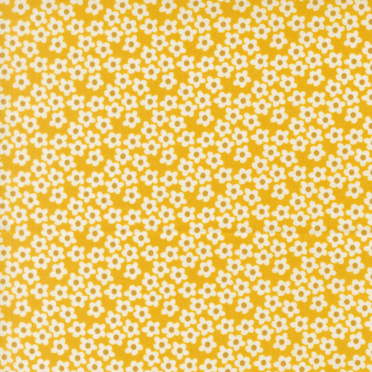 Popcorn Orange fabric
