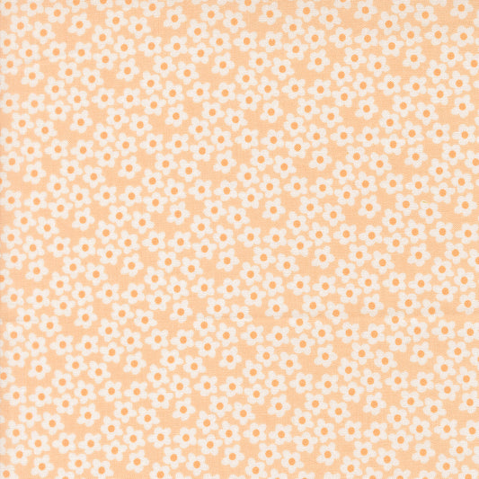 Popcorn Peach fabric