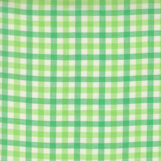 Popcorn Wovens Mint fabric