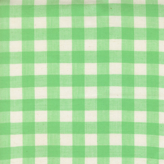 Popcorn Wovens Mint fabric