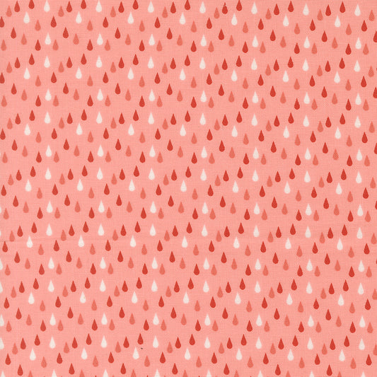 Garden Glam Carnation fabric