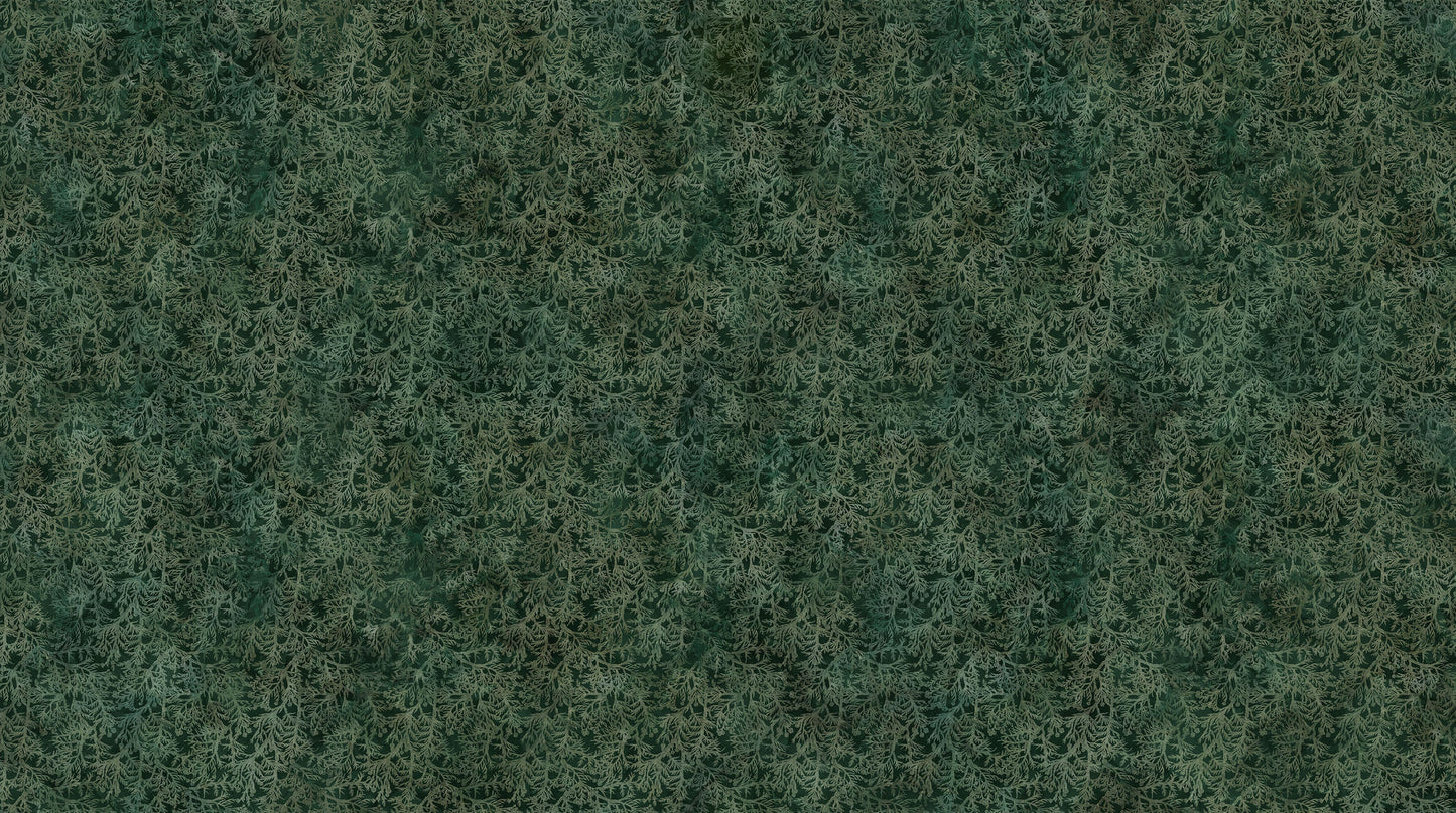 Altitude - Cedar Sprigs - Dk Green