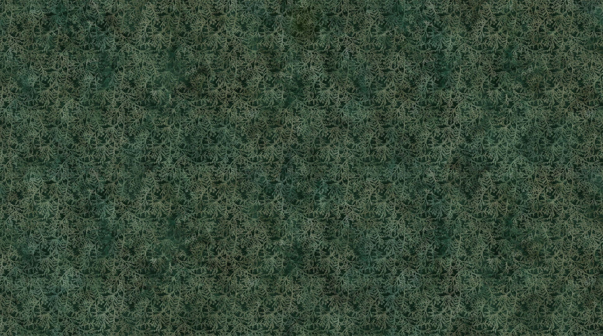 Altitude - Cedar Sprigs - Dk Green