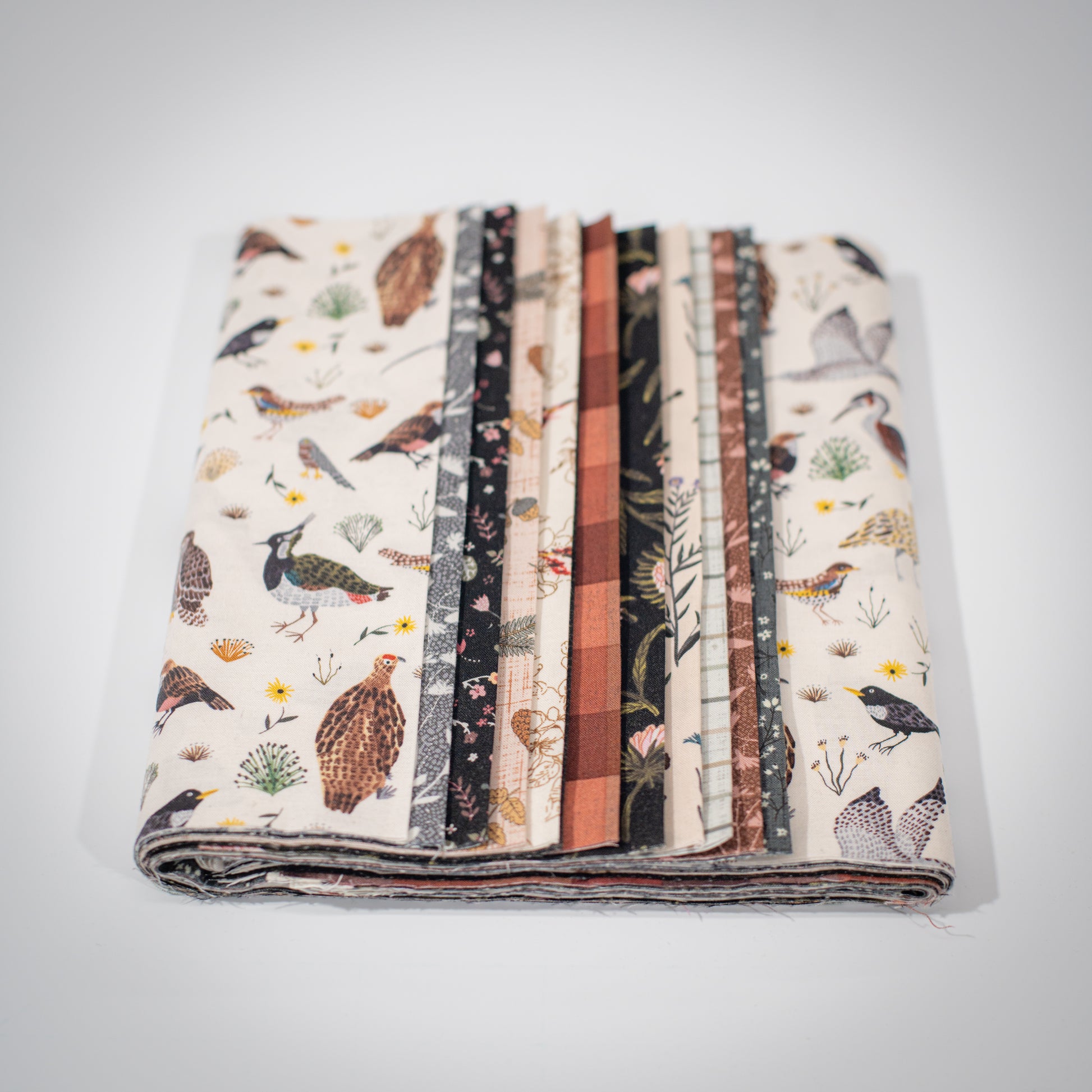 Nature Trail Precut Strips